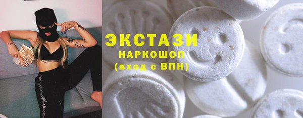 дмт Богородицк
