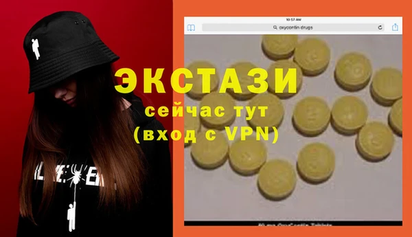 дмт Богородицк