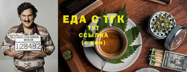 дмт Богородицк