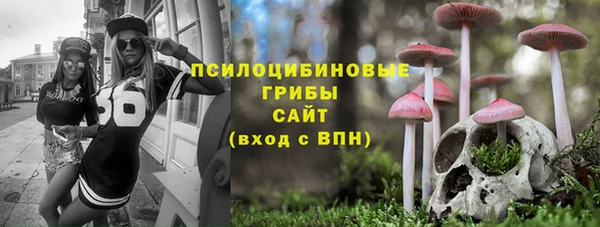 дмт Богородицк
