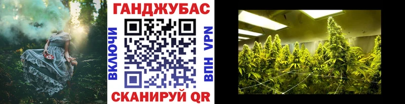 Марихуана сатива  darknet Telegram  Владивосток  где продают наркотики 